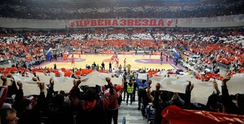 Crvena Zvezda fans