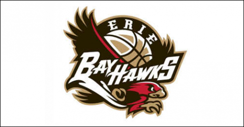 Erie Bayhwaks to cease operations